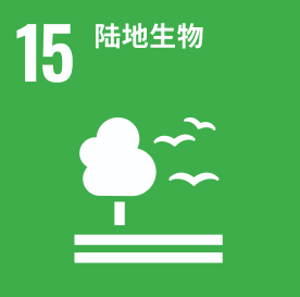 首页 | J9集团公司官方网站